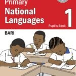 Citizenship Mock Exam 2024 – Excel Secondary School Juba